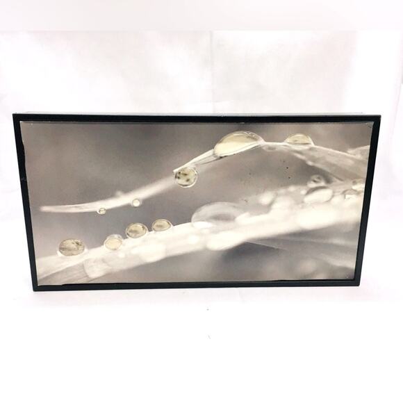 "Dew on Grass" Art Print - Picture 1 of 5